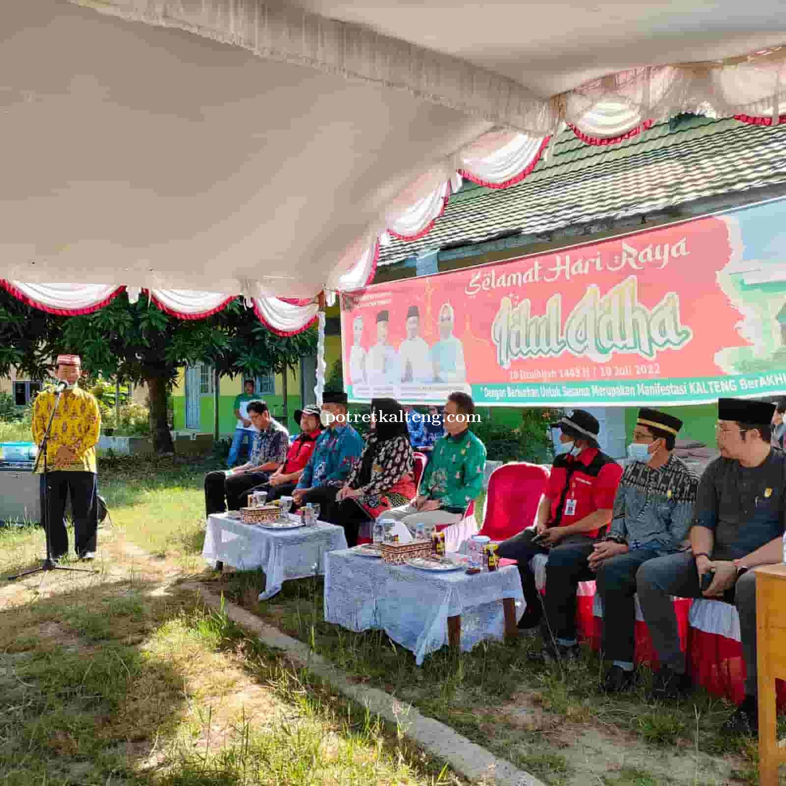 Kabupaten Kapuas Terima 77 Ekor Sapi Kurban Dari Gubernur Kalteng