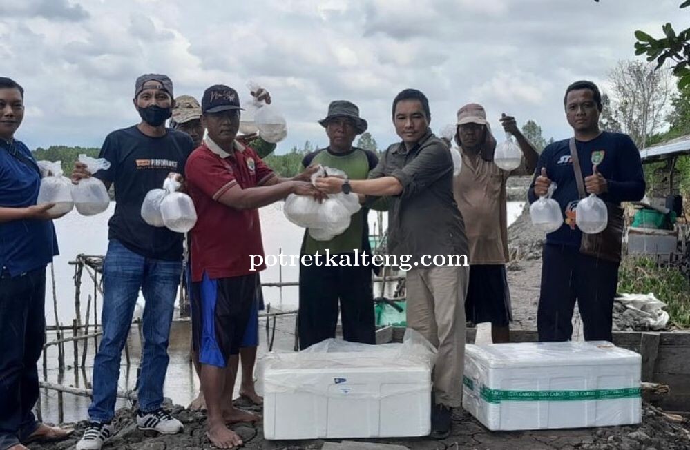 Pemprov Kalteng Serahkan Bantuan Benih Udang Kepada Kelompok Tambak Sungai Ratik Kumai