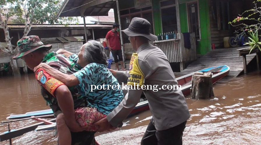 BPBD Bersama TNI-Polri Evakuasi Lansia Terdampak Banjir di Kelurahan Marang