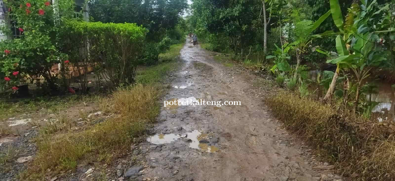 Pekerjaan Jalan Lingkungan di Desa Anjir Serapat Timur Diduga Tidak Sesuai RAB