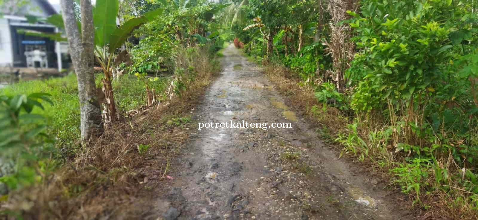 Warga Desa Pertanyakan Janji Kades Terpilih Untuk Perbaiki Jalan Handil Gembira