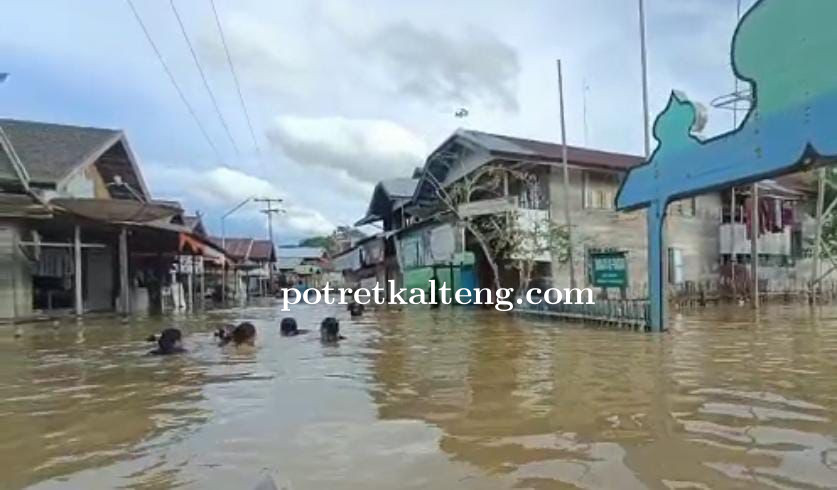 Hujan Lebat, Ratusan Rumah Di Desa Jangkang Kebanjiran Pasca DAS Kapuas meluap