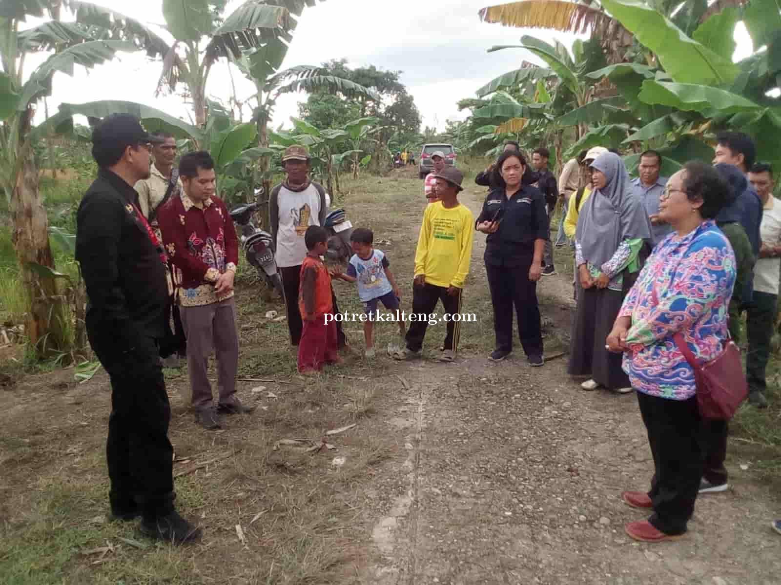 Direktur Tanaman Buah Kementan RI Kunjungi Kebun Pisang Gepok Tanjung Di Kapuas