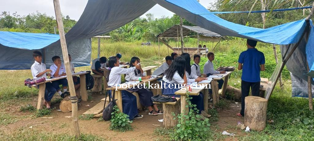 Miris ! Siswa SMPN 7 Lahei Belajar Beralaskan Tenda Terpal di Bawah Terik Matahari dan Hujan