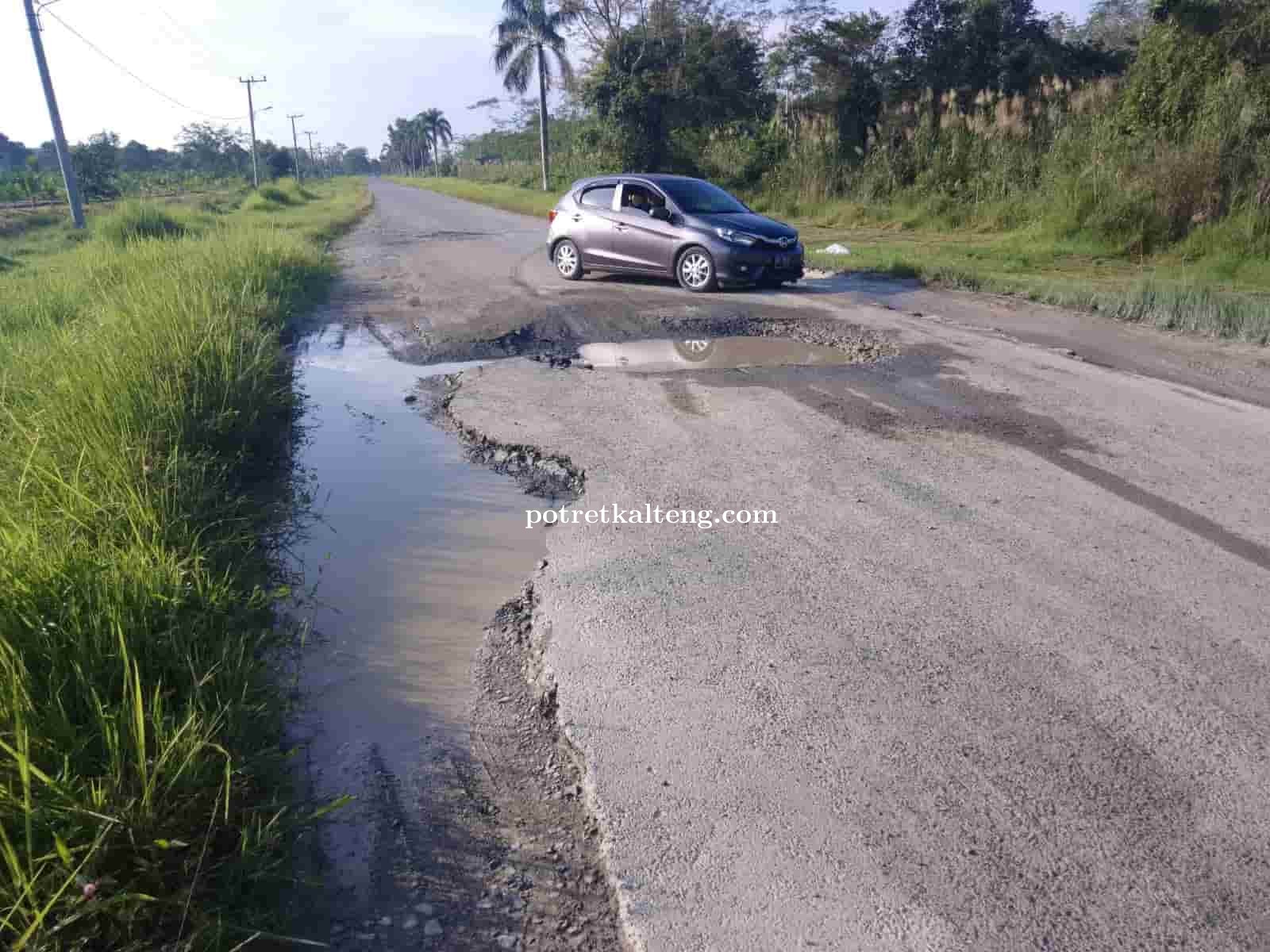 Rawan Mengakibatkan Kecelakaan, Kondisi Ruas Jalan Rey 3 Pulang Pisau Memprihatinkan