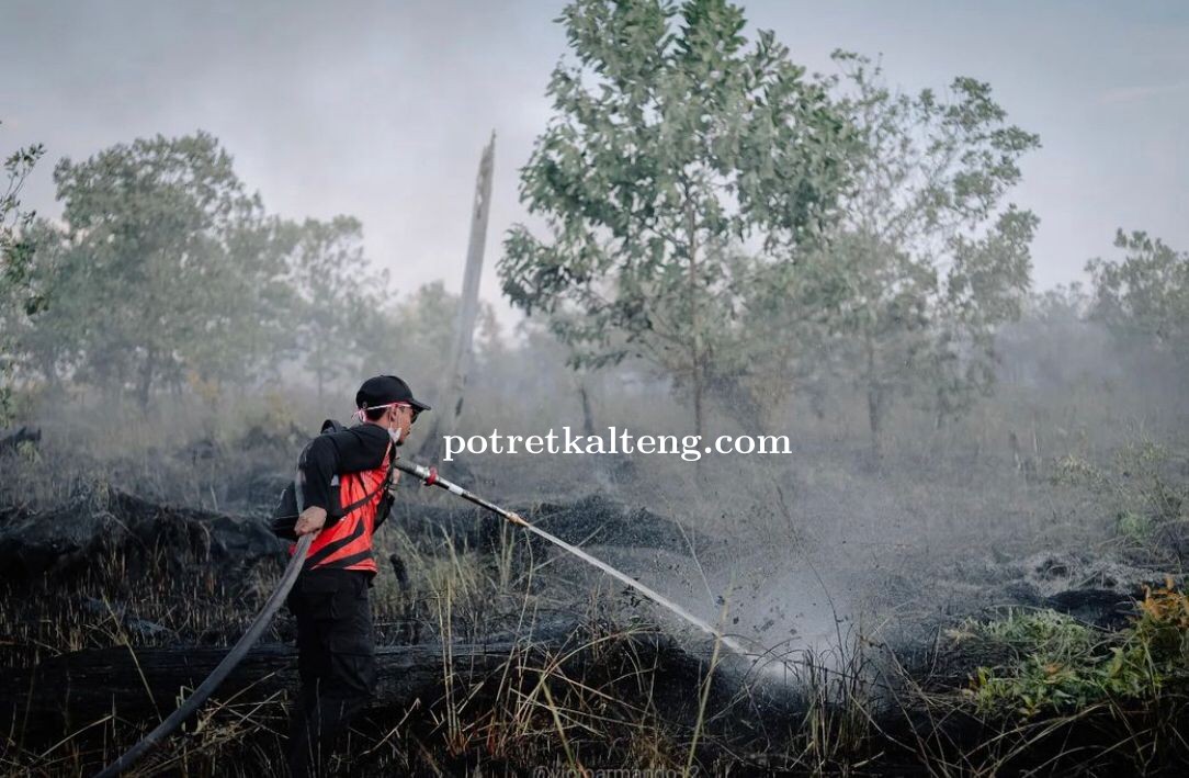Karhutla di Palangka Raya Sudah Hanguskan 35,84 Hektare Lahan di Katimpun