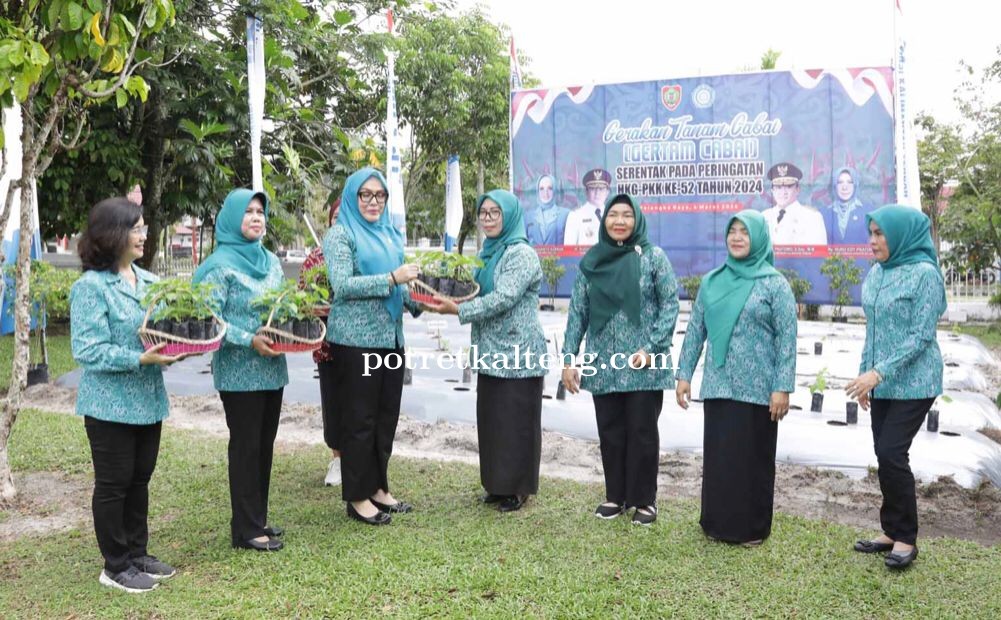 Peringatan Hari Kesatuan Gerak PKK, Tim Penggerak PKK Kalteng Ikuti Kegiatan Gertam Cabai Serentak