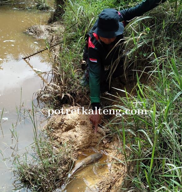 Kuasa Hukum PT BMB Bantah Cemari Sungai Yang Akibatkan Ikan Mati