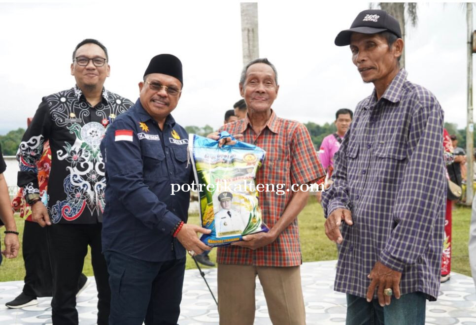 Sekda Kalteng Serahkan 35 ekor Sapi dan gratiskan 1600 paket sembako di Buntok