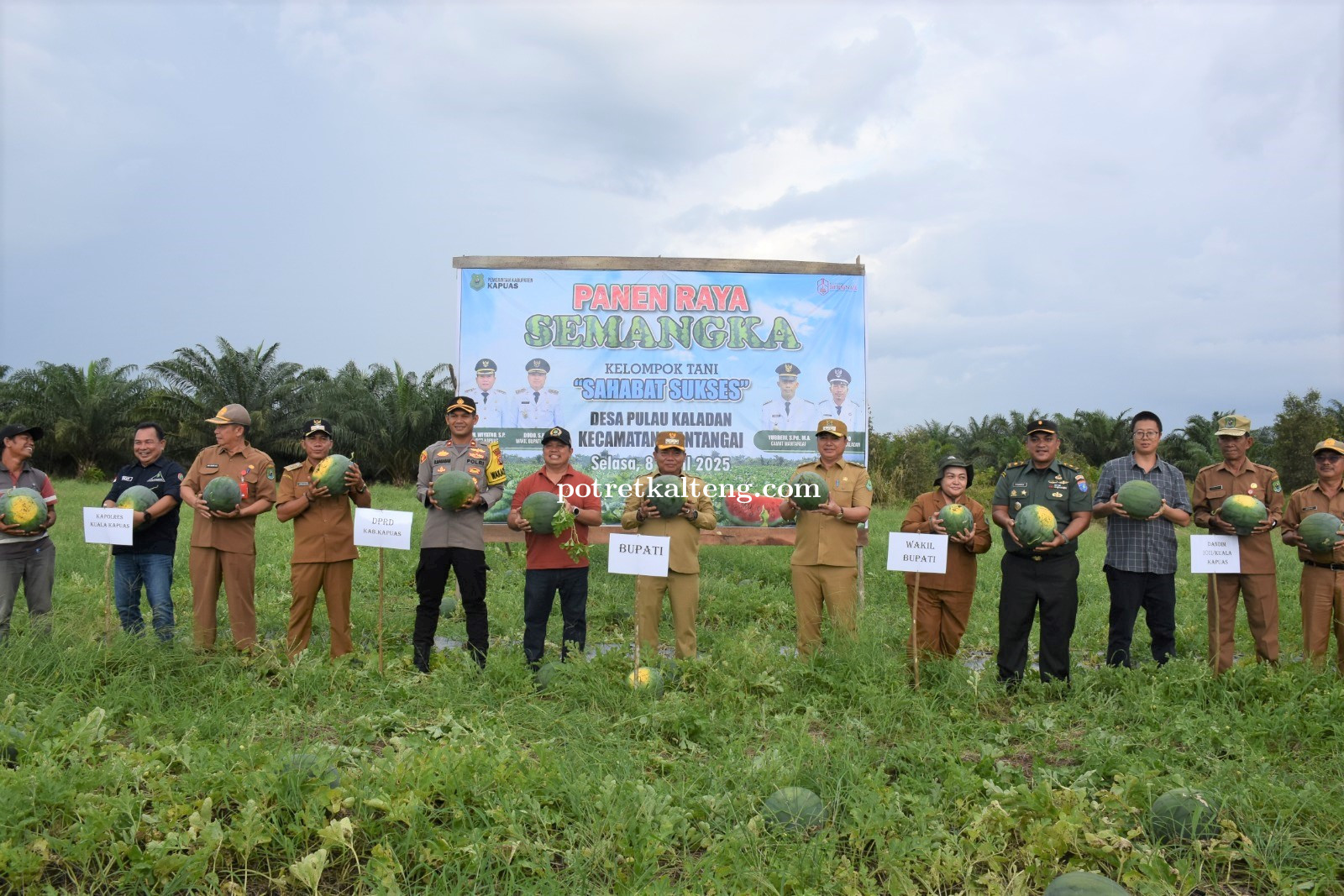 Panen Semangka di Pulau Kaladan, Bupati Kapuas Dorong Perbaikan Infrastruktur dan Kolaborasi dengan