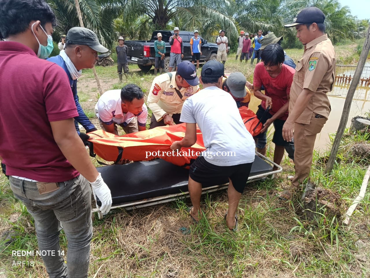 Penemuan Mayat Operator Pompa di Perkebunan Sawit PT. Global Agung Lestari, Diduga Tenggelam