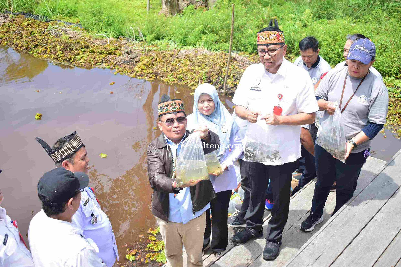 Gubernur Kalimantan Tengah Tebar 125.000 Benih Ikan Betok di Danau Tahai untuk Lestarikan Ekosistem 