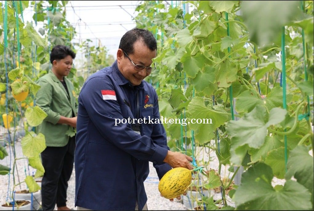 Kalteng Gandeng UPN Yogyakarta Terapkan Smart Farming untuk Tingkatkan Produksi Hortikultura