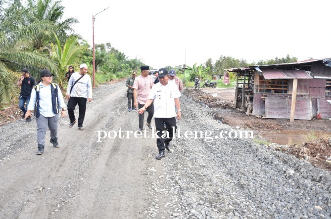 Bupati Kapuas Tinjau Rekonstruksi Jalan Dan Jembatan Vital, Pastikan Konektivitas Lancar