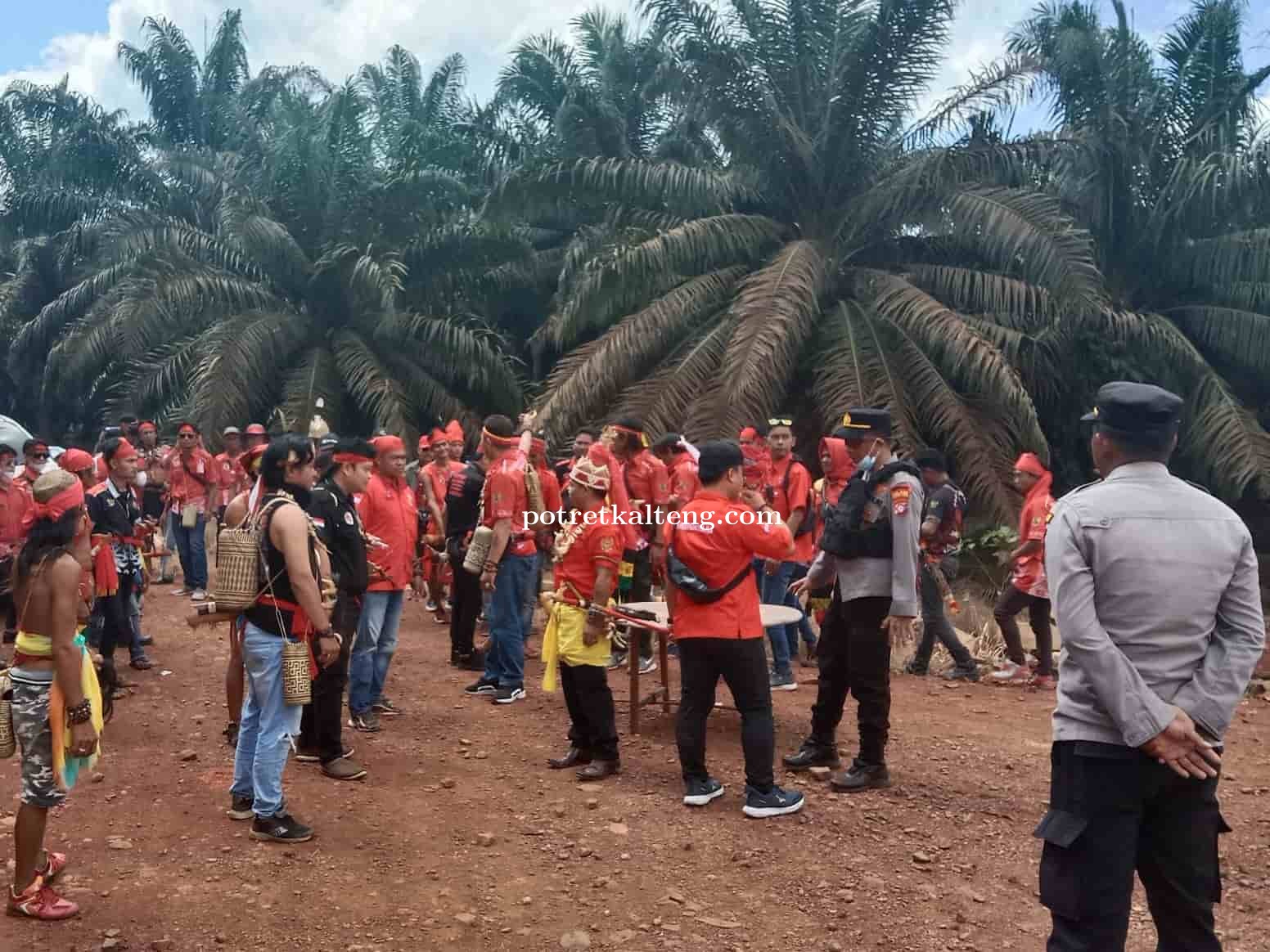PERPEDAYAK PLB : Pemkab Pulpis Tidak Konsisten Dalam Sangketa Tanah Antara Masyarakat dan  PT. SCP !
