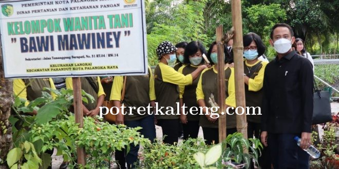 Wali Kota : Manfaatkan Pekarangan Untuk Kebutuhan Pangan Keluarga