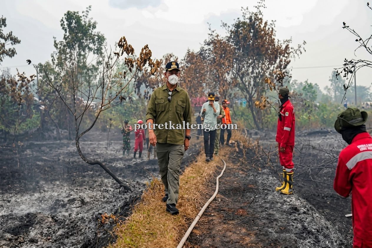 Kabut Asap Memburuk, Pemkab Barut Atur Aktivitas ASN dan Sekolah