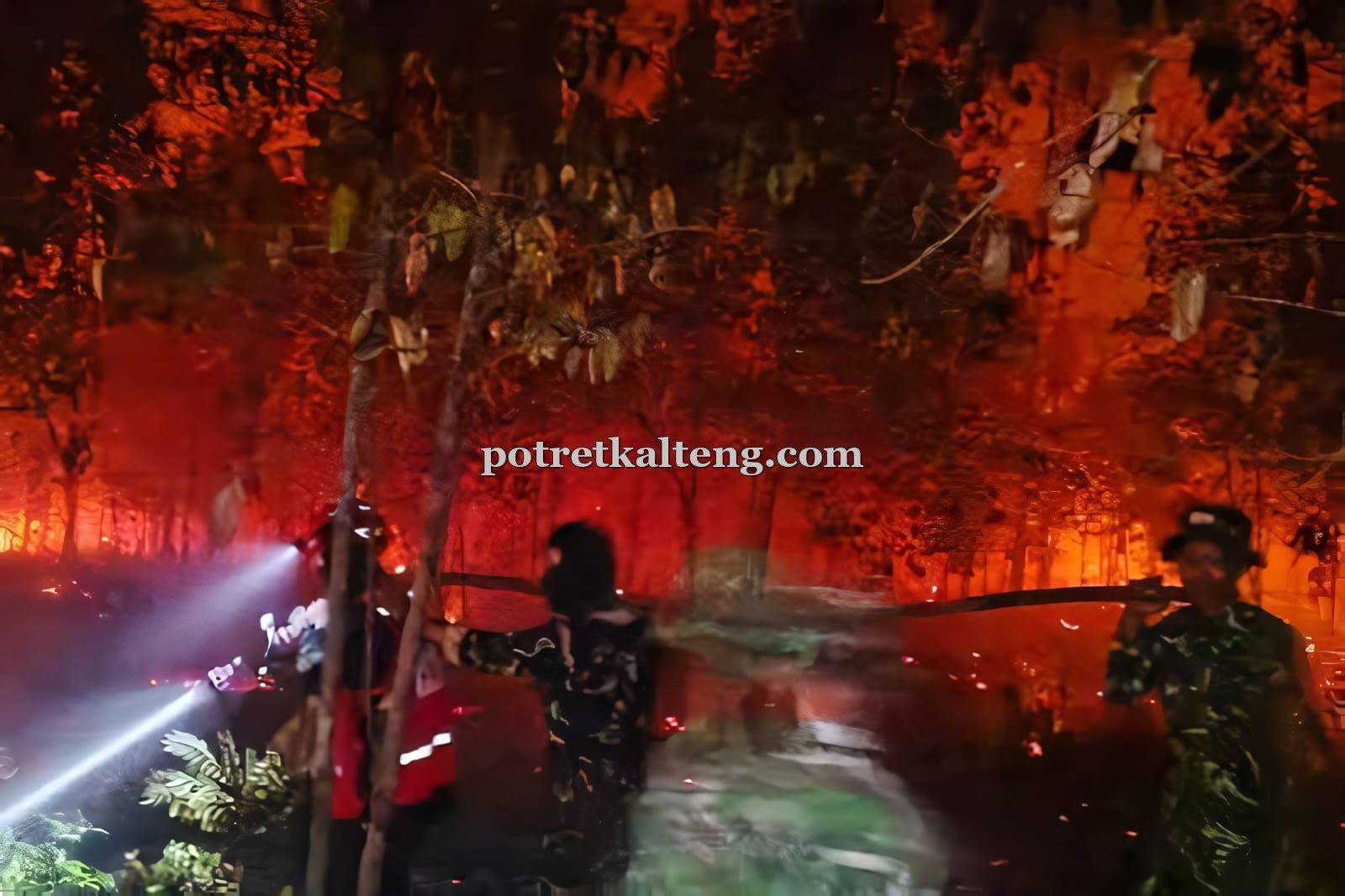 BPBD Barsel Ungkap Karhutla Lokal Jadi Penyebab Kabut Asap Pekat