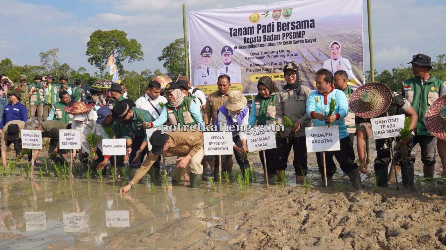 Tanam Padi Bersama di Tumpung Ulung, Bartim Perkuat Langkah Menuju Swasembada Pangan