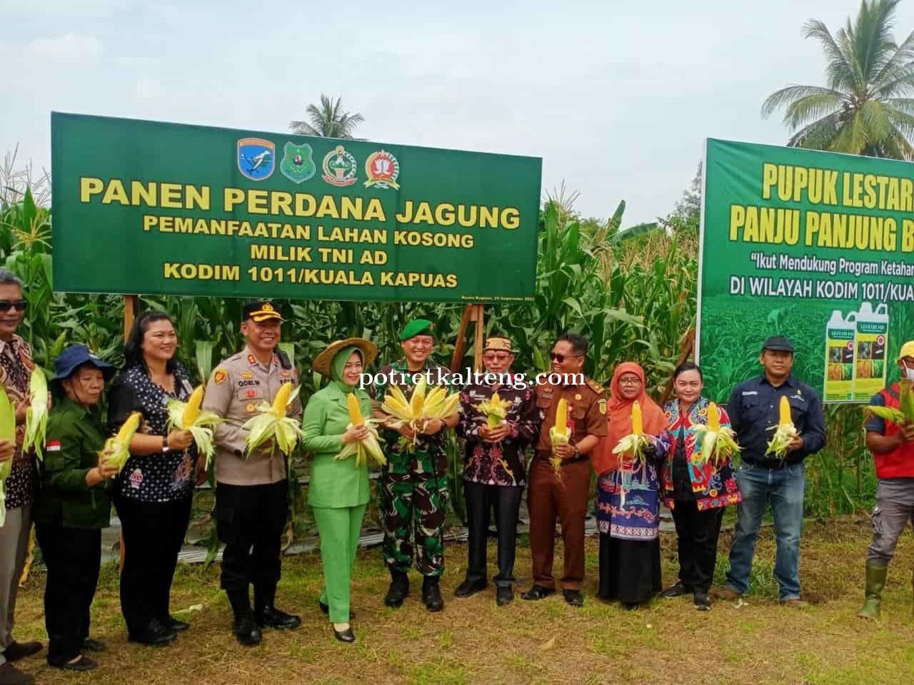 Dalam rangka HUT TNI Kodim 1011/KLK Tanam 1 Juta Pohon dan Panen Perdana Kebun Jagung