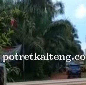 Meski Bersengketa Dan Dijaga Kepolisian, Pihak Hok Kim Diduga Paksa Keluar Truk dan Alat Berat