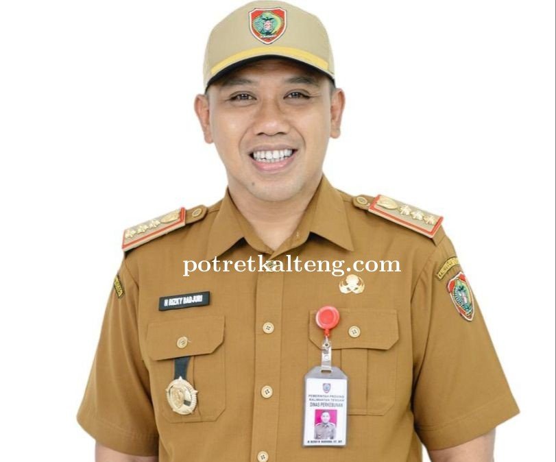 Harga Tandan Buah Segar (TBS) Kelapa Sawit di Kalimantan Tengah Terus Mengalami Kenaikan, Tembus Rp3