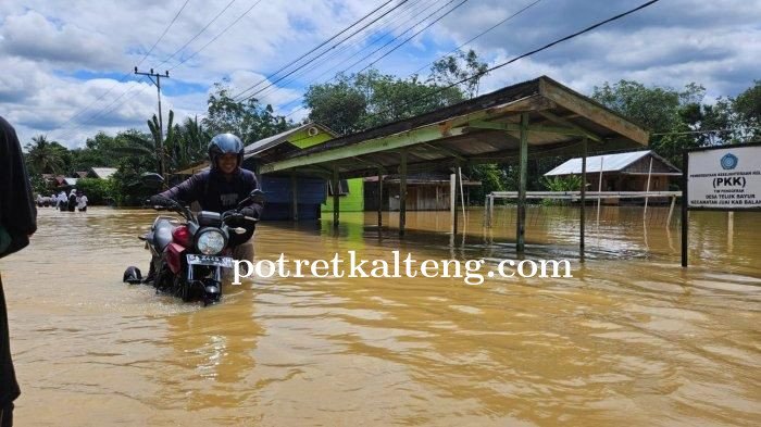 Desa Teluk Bayur Balangan Diterjang Banjir, Ratusan Rumah dan Fasilitas Umum Terendam