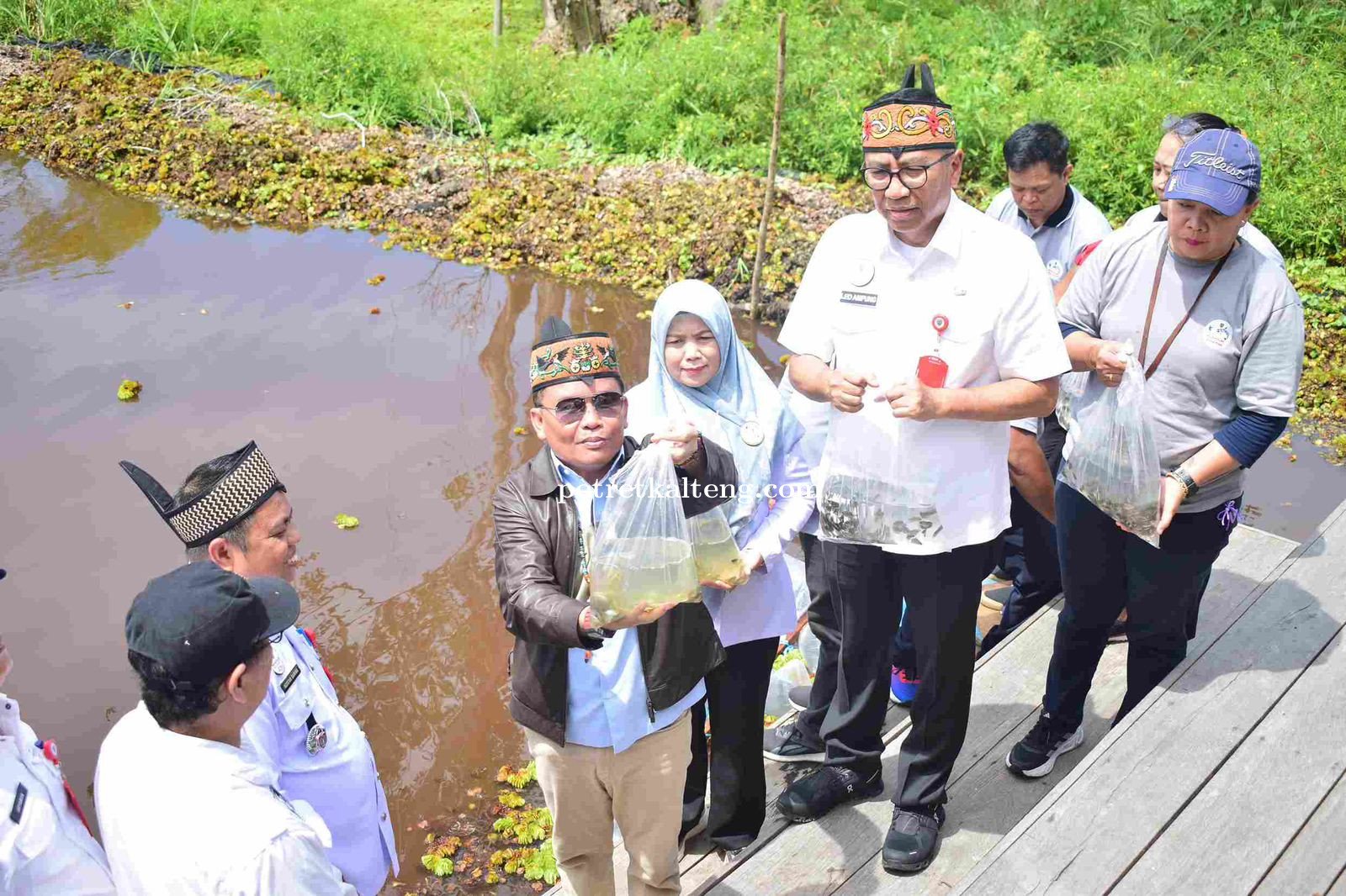 Gubernur Kalimantan Tengah Tebar 125.000 Benih Ikan Betok di Danau Tahai untuk Lestarikan Ekosistem