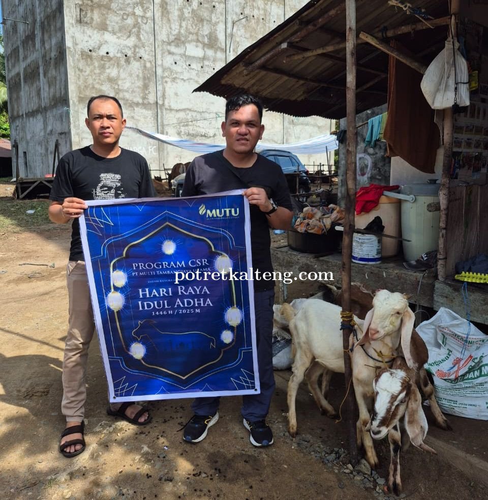 Ketua PWRI Barito Selatan Apresiasi Bantuan Kambing Kurban dari PT MUTU Jelang Idul Adha 1446 H