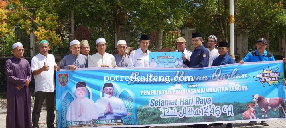 Pemkab Barito Utara Terima 30 Ekor Sapi Qurban dari Pemprov Kalteng
