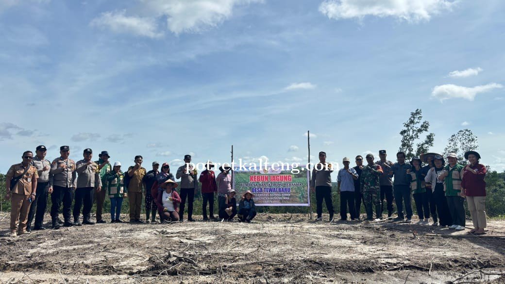 Tingkatkan Ketahanan Pangan, Desa Tewai Baru Luncurkan Program Penanaman Jagung Hibrida