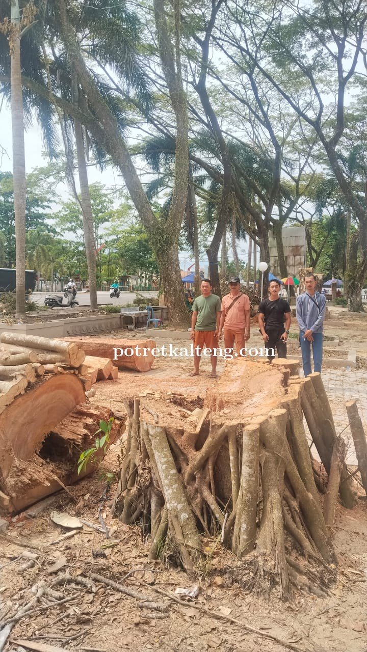 Penertiban PKL di Depan GOR Panunjung Tarung, Pemkab Kapuas Fokuskan UMKM ke Area yang Lebih Tertata
