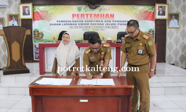 Fleksibilitas BLUD dalam Optimalisasi Pelayanan Publik Guna Meningkatkan Mutu Pelayanan Kesehatan