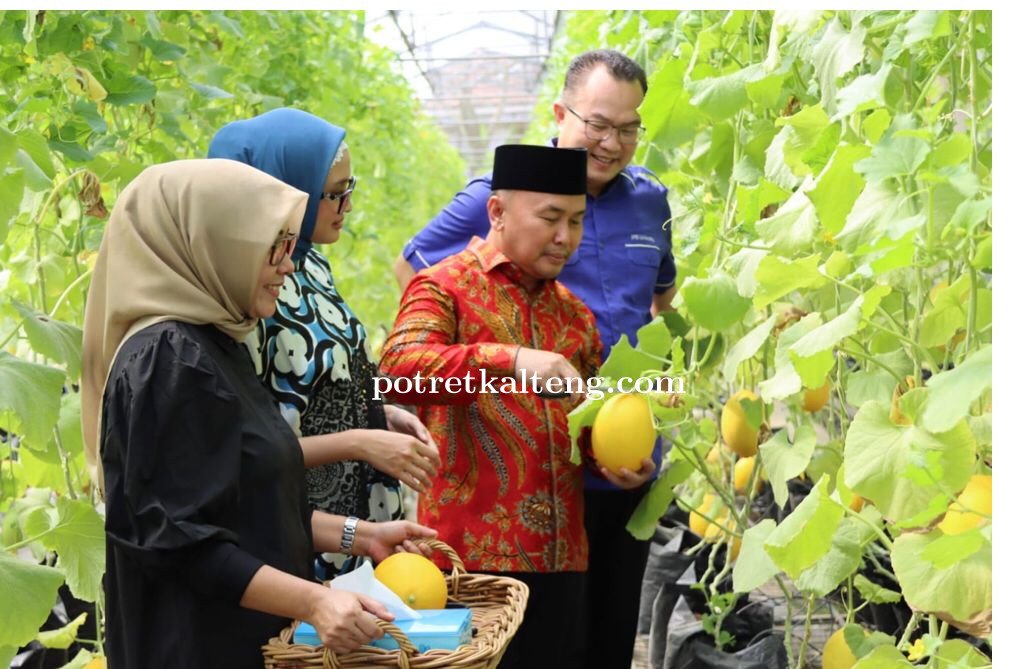 Gubernur Kalteng Harapkan Kaum Milenial Bertekad Bangun Ketahanan Pangan Kalteng