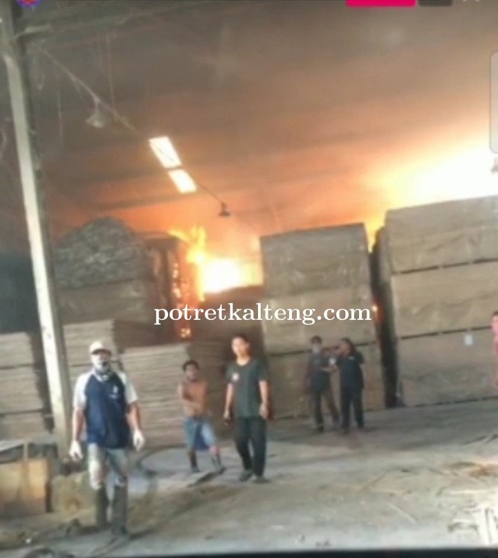 PT Kayu Lima Sejahtera Plywood Kapuas Dilalap Si Jago Merah, 3 Orang Karyawan Dilarikan Ke RSUD Kapu