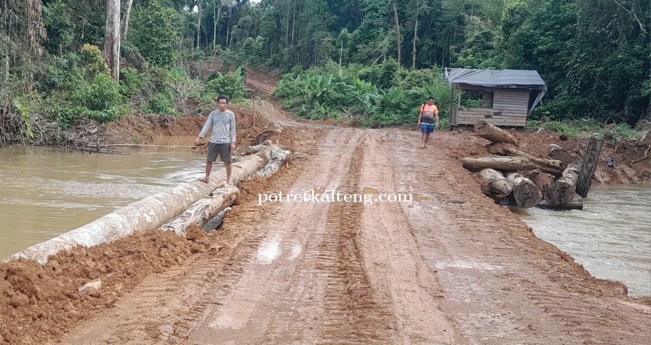 Masyarakat Katanjung Resah, Ketum Barisan Patriot Dayak Tinjau Jembatan PT Tri Sapta Yang Tutup Akse