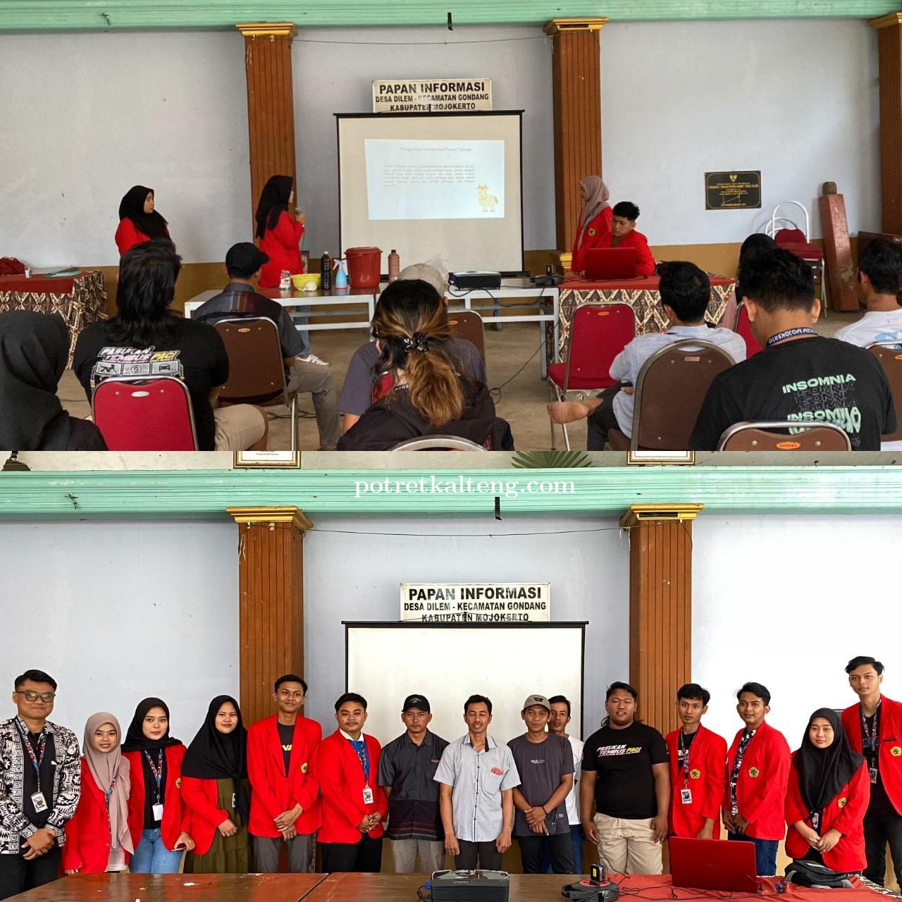 Mahasiswa Untag Surabaya Berdayakan Bagikan Ilmu Fermentasi Pakan Ternak Berkelanjutan Di Desa Dilem