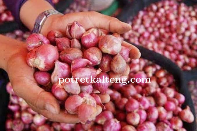 Menjelang Hari Raya Idul Adha, Harga Bawang Merah di Palangkaraya Mengalami Kenaikan